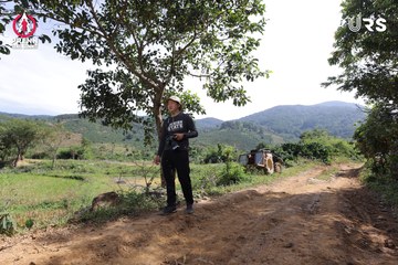 Ảnh sự kiện PRENN TRAIL SUMMIT 2024 - edfcbbe6124c6302f00fe2fc0addff98.jpg