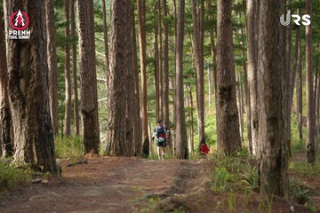 PRENN TRAIL SUMMIT 2024 - Ảnh #2968217