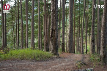 PRENN TRAIL SUMMIT 2024 - Ảnh #2971170