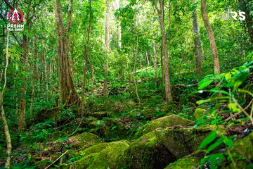 Ảnh sự kiện PRENN TRAIL SUMMIT 2024 - f2d4c9b4d37a296a545778974da7f9b8.jpg