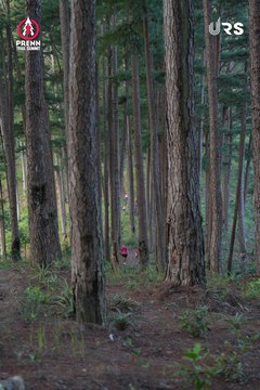 PRENN TRAIL SUMMIT 2024 - Ảnh #2970855