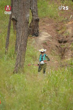 PRENN TRAIL SUMMIT 2024 - Ảnh #2972536