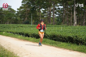 PRENN TRAIL SUMMIT 2024 - Ảnh #2969945
