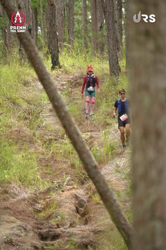 PRENN TRAIL SUMMIT 2024 - Ảnh #2972374