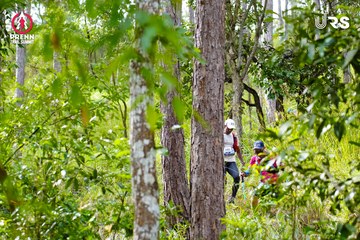 PRENN TRAIL SUMMIT 2024 - Ảnh #2968634
