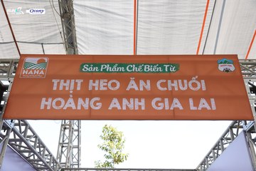 RUN TO LIVE 2024 - Ảnh #1306548