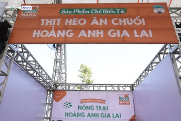 RUN TO LIVE 2024 - Ảnh #1306555