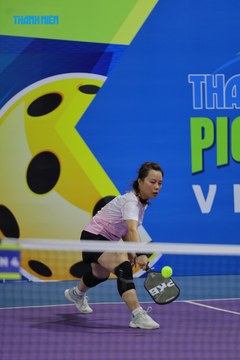 THANH NIÊN PICKLEBALL CUP VINFAST 2024 - Ảnh #2274352