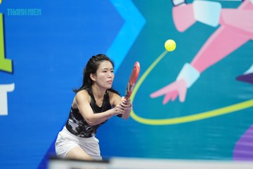 THANH NIÊN PICKLEBALL CUP VINFAST 2024 - Ảnh #2258314