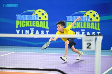 THANH NIÊN PICKLEBALL CUP VINFAST 2024 - Ảnh #2270495