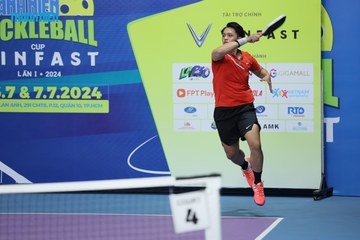 THANH NIÊN PICKLEBALL CUP VINFAST 2024 - Ảnh #2246521