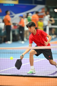 THANH NIÊN PICKLEBALL CUP VINFAST 2024 - Ảnh #2277004