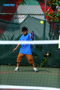 THANH NIÊN PICKLEBALL CUP VINFAST 2024 - Ảnh #2261382