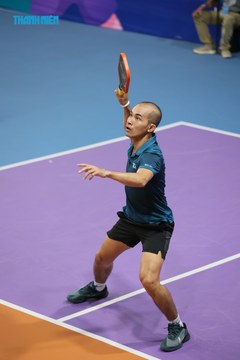 THANH NIÊN PICKLEBALL CUP VINFAST 2024 - Ảnh #2260170