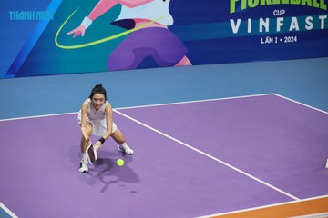 THANH NIÊN PICKLEBALL CUP VINFAST 2024 - Ảnh #2260577