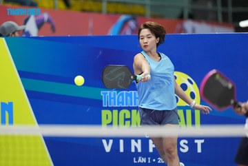 THANH NIÊN PICKLEBALL CUP VINFAST 2024 - Ảnh #2257073