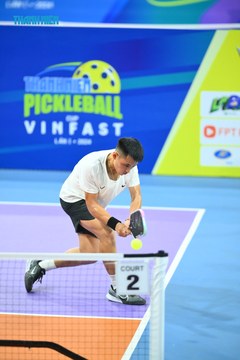 THANH NIÊN PICKLEBALL CUP VINFAST 2024 - Ảnh #2276033