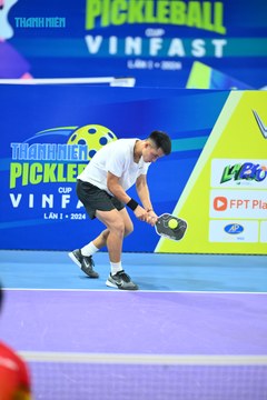 THANH NIÊN PICKLEBALL CUP VINFAST 2024 - Ảnh #2275784