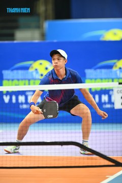 THANH NIÊN PICKLEBALL CUP VINFAST 2024 - Ảnh #2270310