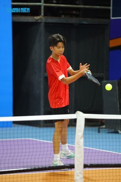 THANH NIÊN PICKLEBALL CUP VINFAST 2024 - Ảnh #2274340