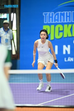THANH NIÊN PICKLEBALL CUP VINFAST 2024 - Ảnh #2269187