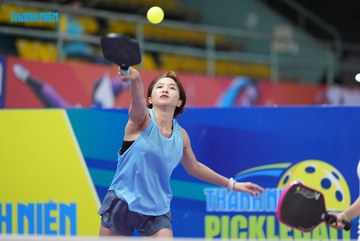 THANH NIÊN PICKLEBALL CUP VINFAST 2024 - Ảnh #2257054