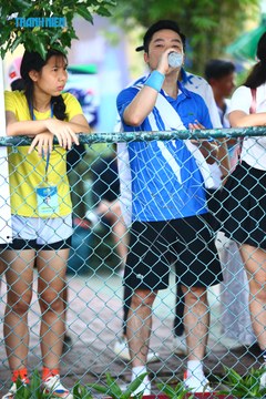THANH NIÊN PICKLEBALL CUP VINFAST 2024 - Ảnh #2261262