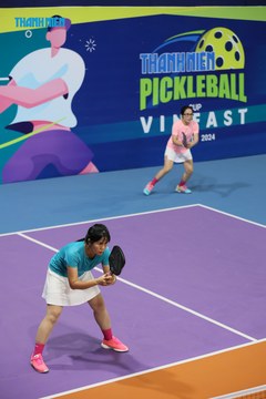THANH NIÊN PICKLEBALL CUP VINFAST 2024 - Ảnh #2260568