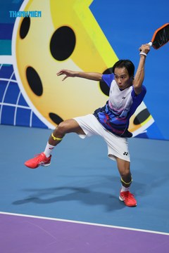 THANH NIÊN PICKLEBALL CUP VINFAST 2024 - Ảnh #2260184