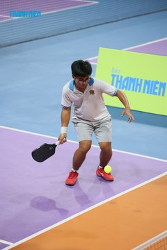 THANH NIÊN PICKLEBALL CUP VINFAST 2024 - Ảnh #2260160