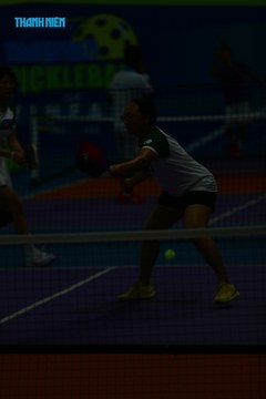THANH NIÊN PICKLEBALL CUP VINFAST 2024 - Ảnh #2261915
