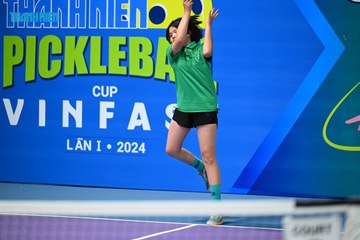 THANH NIÊN PICKLEBALL CUP VINFAST 2024 - Ảnh #2275201