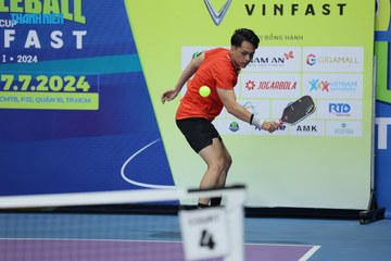 THANH NIÊN PICKLEBALL CUP VINFAST 2024 - Ảnh #2246740