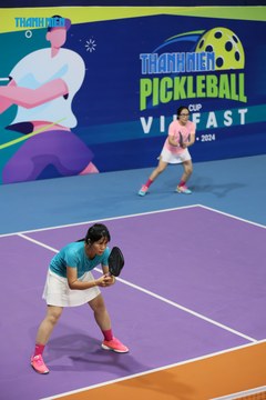 THANH NIÊN PICKLEBALL CUP VINFAST 2024 - Ảnh #2260468