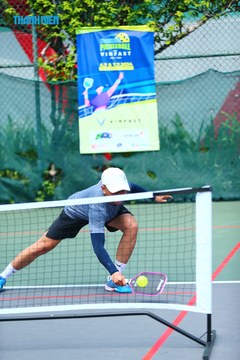 THANH NIÊN PICKLEBALL CUP VINFAST 2024 - Ảnh #2261621