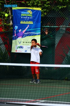 THANH NIÊN PICKLEBALL CUP VINFAST 2024 - Ảnh #2261282