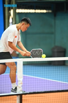 THANH NIÊN PICKLEBALL CUP VINFAST 2024 - Ảnh #2278385