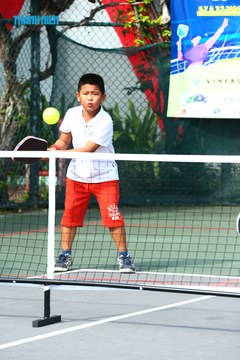 THANH NIÊN PICKLEBALL CUP VINFAST 2024 - Ảnh #2261276
