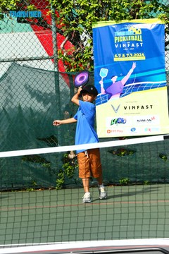 THANH NIÊN PICKLEBALL CUP VINFAST 2024 - Ảnh #2261263