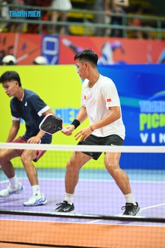 THANH NIÊN PICKLEBALL CUP VINFAST 2024 - Ảnh #2279067