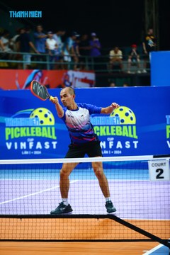 THANH NIÊN PICKLEBALL CUP VINFAST 2024 - Ảnh #2262364
