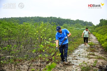 Ảnh sự kiện HDBank Green Marathon 2025 - 0ed9eb2e7f13d89f1982ac1f02708220.jpg
