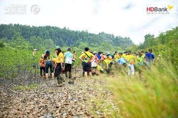 Ảnh sự kiện HDBank Green Marathon 2025 - 183cfaffdc4c4c43dce1d4323db7ec6a.jpg