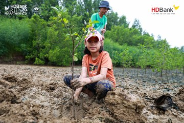Ảnh sự kiện HDBank Green Marathon 2025 - 27e121d0f1170ddc2d2b0d7cd1c11e13.jpg