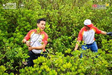 Ảnh sự kiện HDBank Green Marathon 2025 - 47d4195aecc41af1a5482776c2072260.jpg