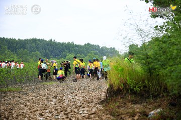 Ảnh sự kiện HDBank Green Marathon 2025 - ad522ea9111b95fdb06d232869e9a80e.jpg