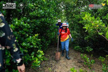 Ảnh sự kiện HDBank Green Marathon 2025 - d6344b28206527ccb7b02dad6e9e4866.jpg