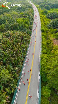 RUN TO LIVE 2025 - Ảnh #3305619