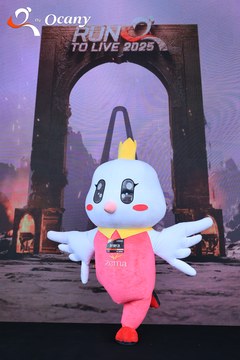 RUN TO LIVE 2025 - Ảnh #3133219
