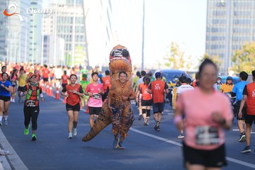 RUN TO LIVE 2025 - Ảnh #3288055